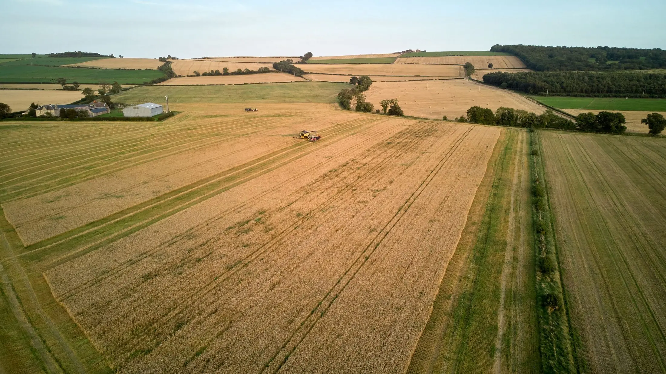 Band Aerial Harvest