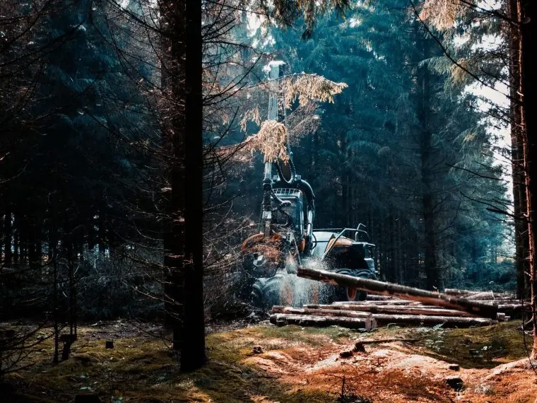 Machine Forestry Woods